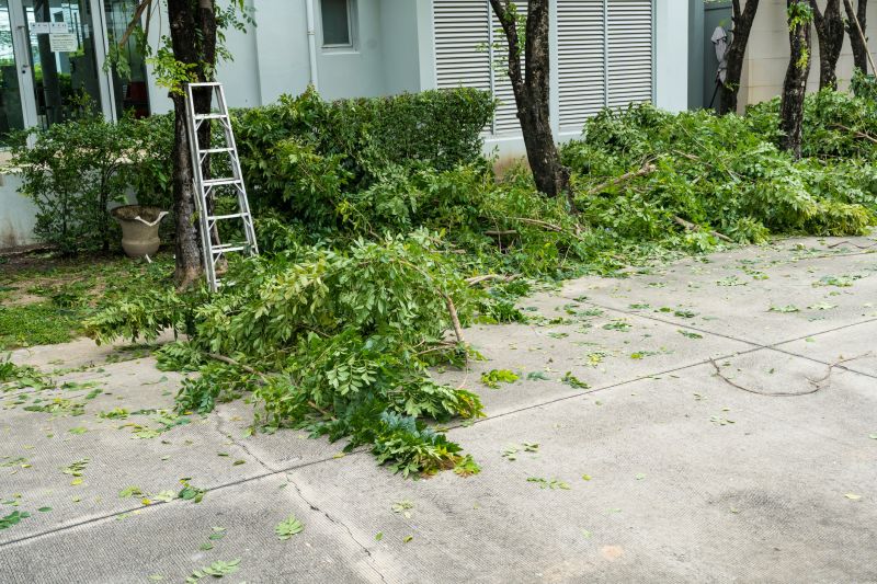 leaf removal