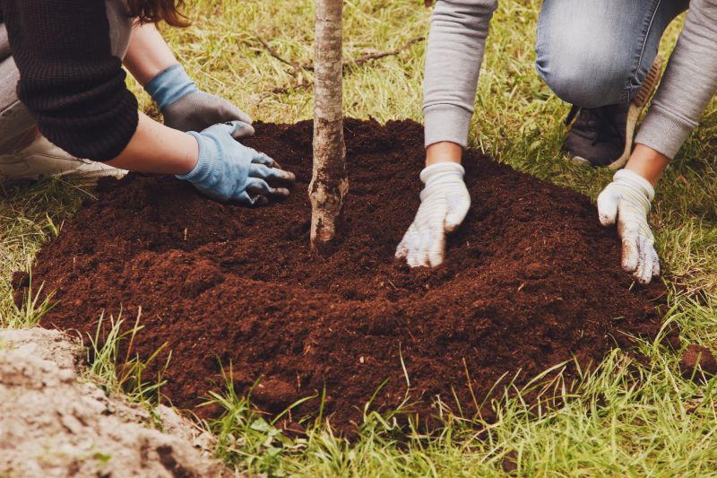 Apple Tree Planting in Ventura County, CA
