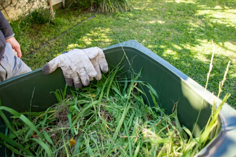 Commercial Leaf Removal in Ventura County, CA