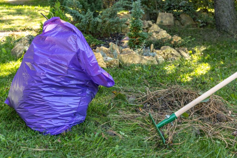 Commercial Leaf Removal in Honolulu, HI