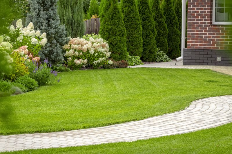 Deck Landscaping Service in Honolulu, HI