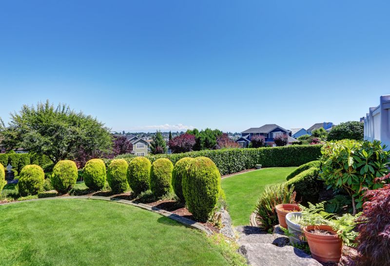 Deck Landscaping Service in Honolulu, HI