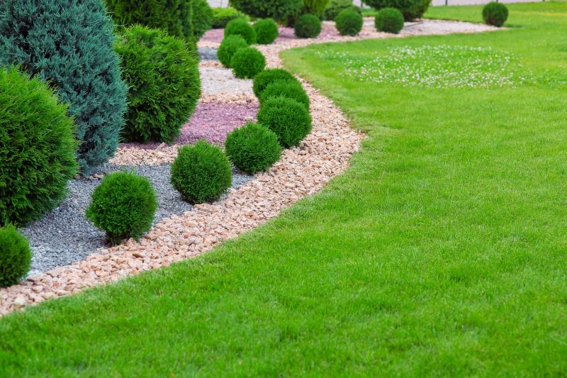 Dryscape Landscaping in Ventura County, CA