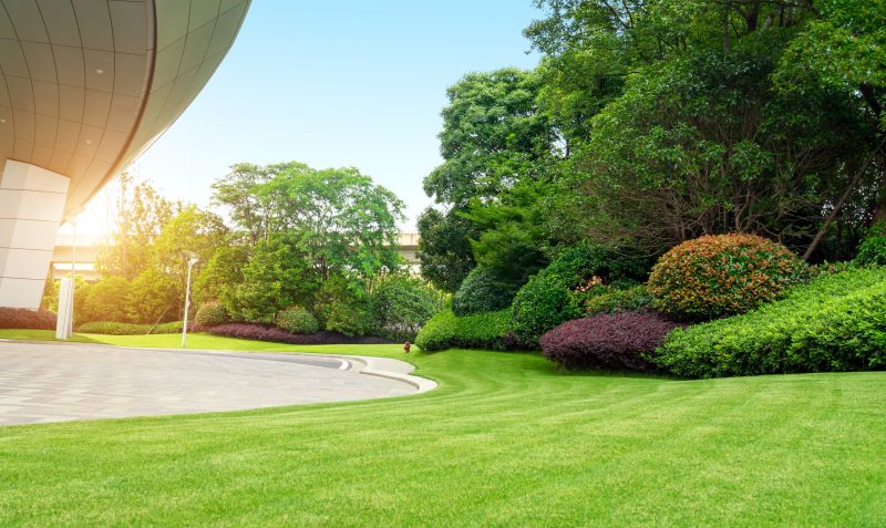 Landscape Remodeling in Ventura County, CA