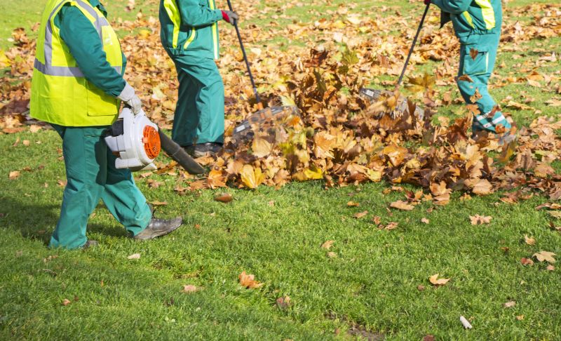 Lawn Cleanup Service in Ventura County, CA
