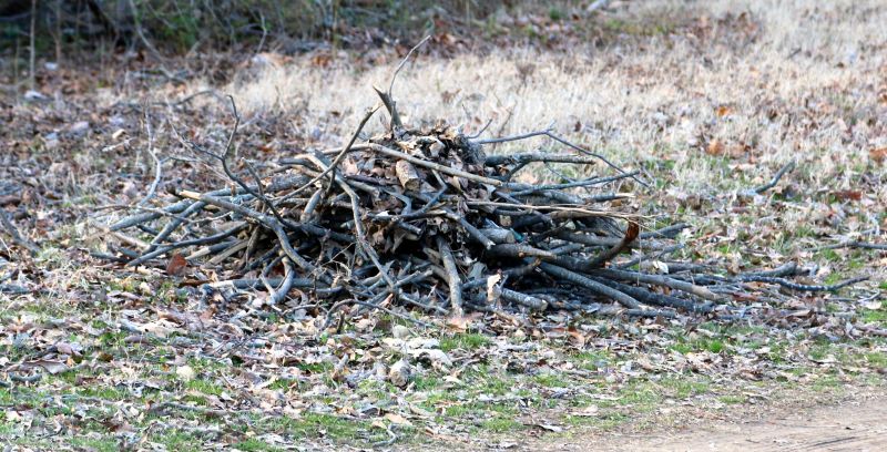 Lawn Debris Cleanup in Ventura County, CA