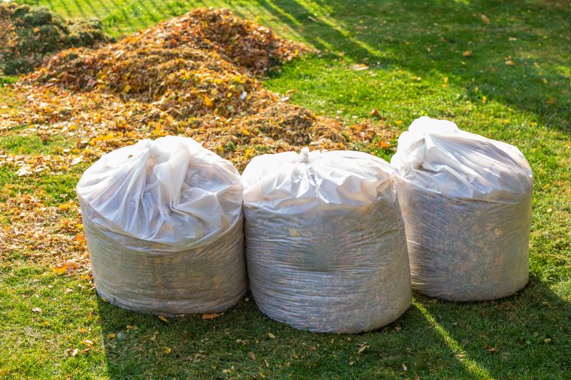 Leaf Removal in Ventura County, CA