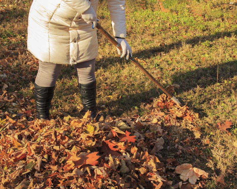 Leaves Vacuuming in Ventura County, CA
