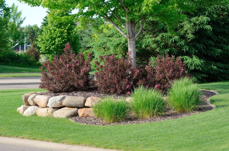 Park Landscape Maintenance in Honolulu, HI
