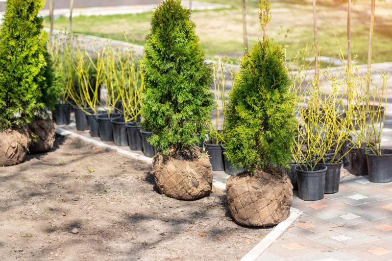 Shrub Landscaping in Honolulu, HI