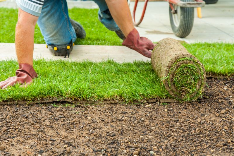Softscaping Service in Ventura County, CA