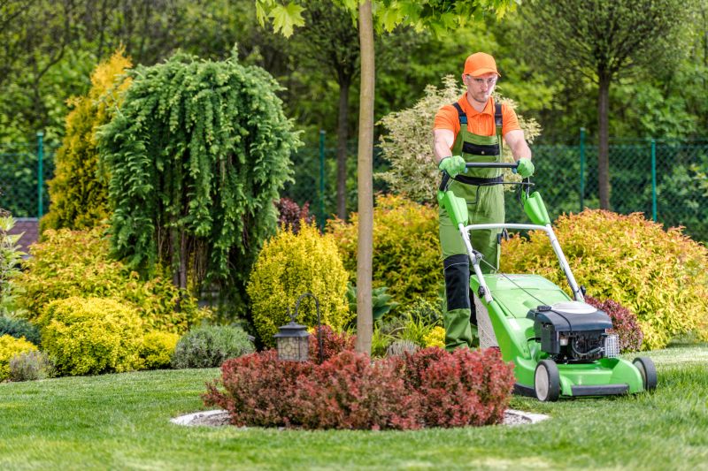 Spring Lawn Cleanup in Ventura County, CA