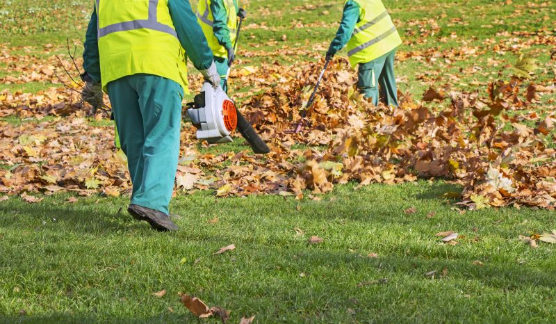 Yard Cleanup Service in Ventura County, CA