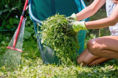 Yard Cleanup Service in Honolulu, HI