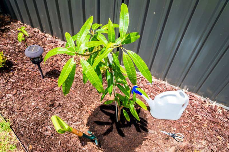 Ornamental Tree Planting in Ventura County, CA